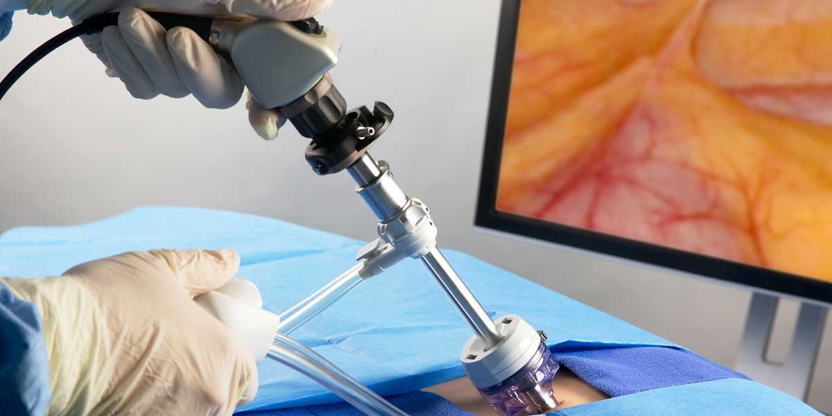 Urology Devices Market 2031: Analysis, Trends, and Key Objectives