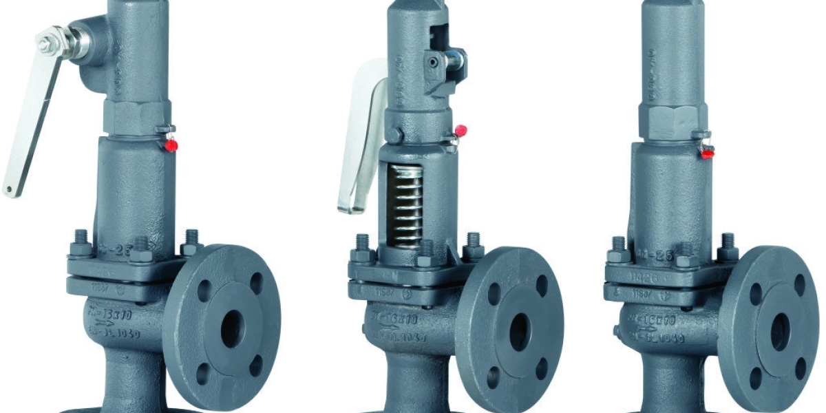 Safety Valves Market on the Rise: Unpacking Growth Trajectories