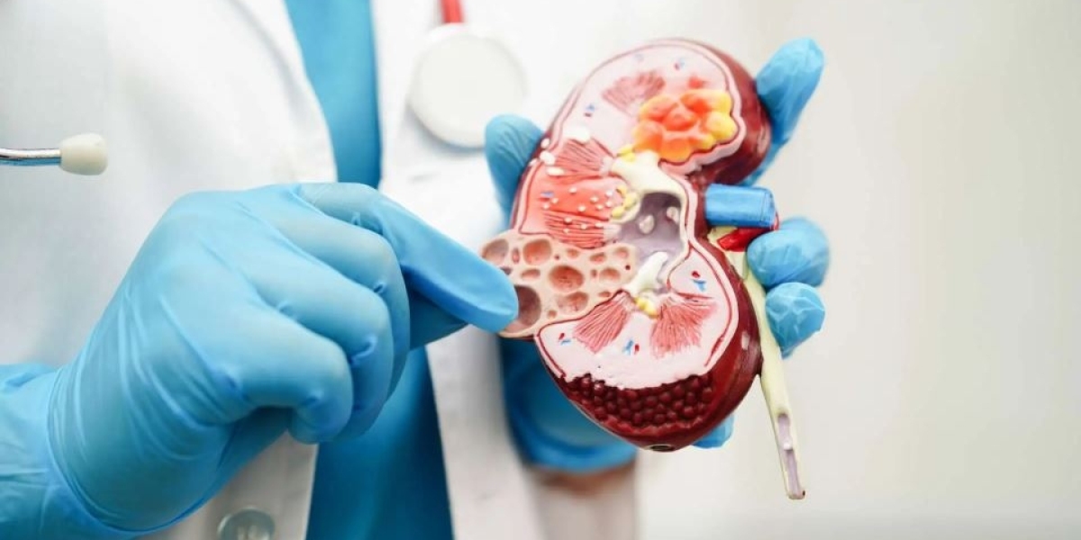 Urology Consumables Market 2031: Business Opportunities, Segmentation, and Trends