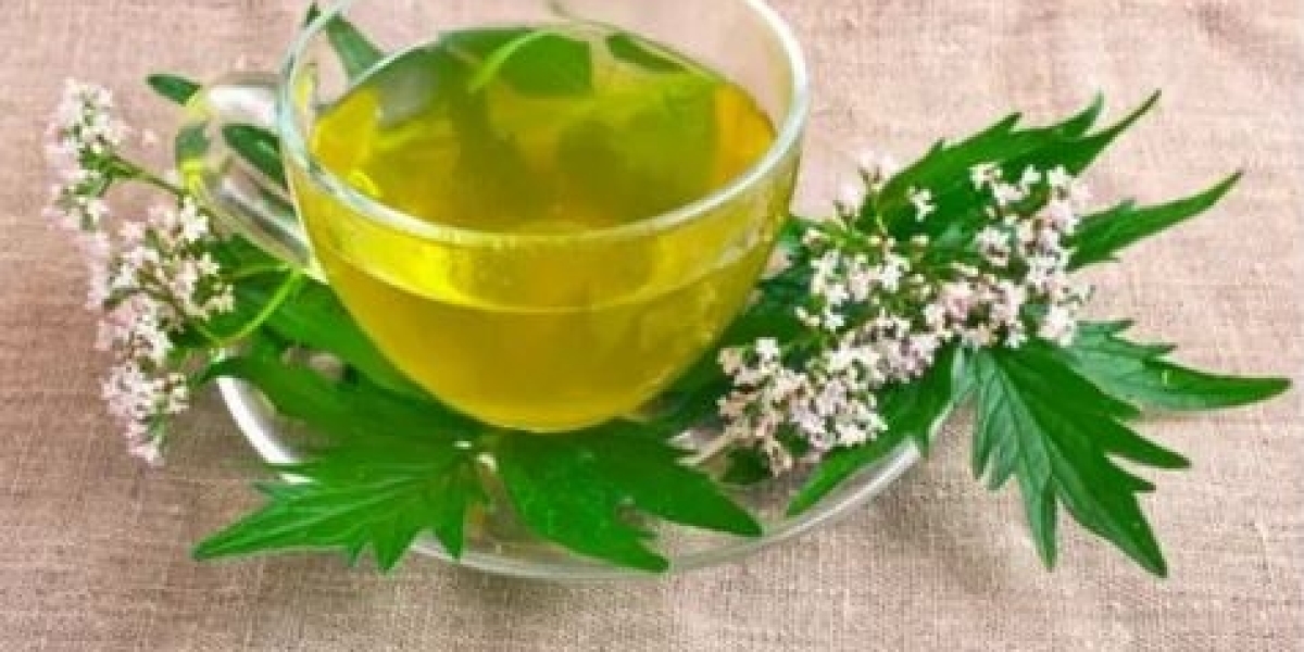 Valerian Tea Market 2031: Overview, Key Objectives, and Growth Opportunities